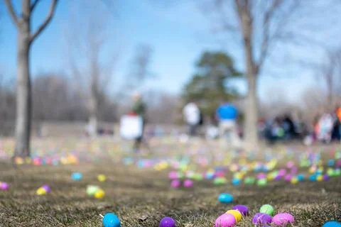 Open field with hundreds of plastic Easter eggs for a kids public hunt. Op... Stock Photos