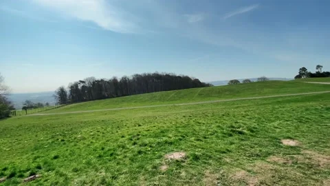 Open Field in a Park Stock Footage 153463366