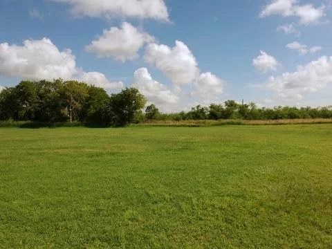 Open field Foto stock