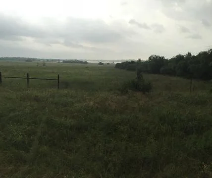 Open Field Stockfoto's