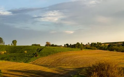 Open Field Foto stock