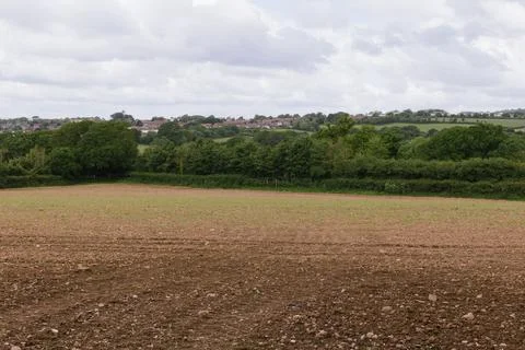 Open field Stock Photos