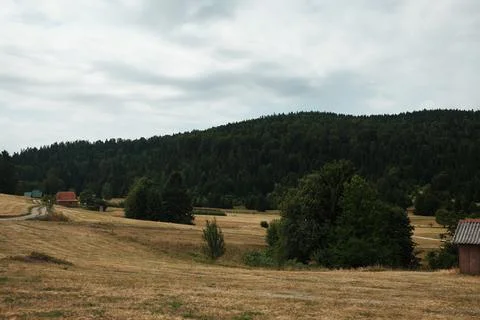 Open field with scattered trees and small village near the forest edge in Tar Stock Photos