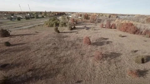 Open field with some trees.mp4 Video stock 48333032