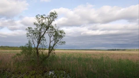 Open field timelapse with approaching storm 스톡 동영상 78690776