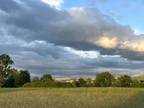 Open field under cloudy sky with trees and hills in background Stock Photos