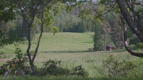 Open Field Valley, Red Cottage Stock Footage 248901384