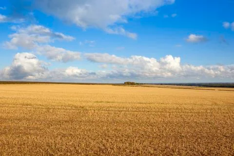 Open fields in autumn Stock Photos