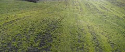 Open fields Stock Footage 155550907