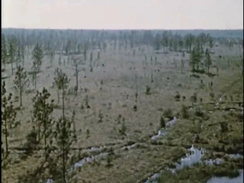 Open fields in forestlands were left after trees were recklessly cut down andƒ Stock Footage 75770142