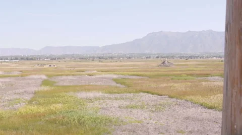 Open fields of green grass Vidéo 55418762