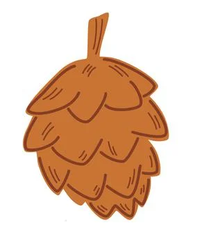 Open fir cone. Conical fruit of conifer tree. Nature theme. Brown fir cone. E Stock Illustration