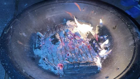 Open fire, burning logs. Background for outdoor cooking, camp kitchen Vidéo 320613197