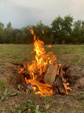 Open fire, campfire in the park Stock Photos