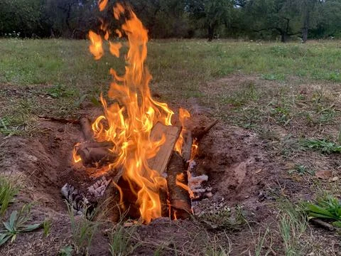 Open fire, campfire in the park Stock Photos