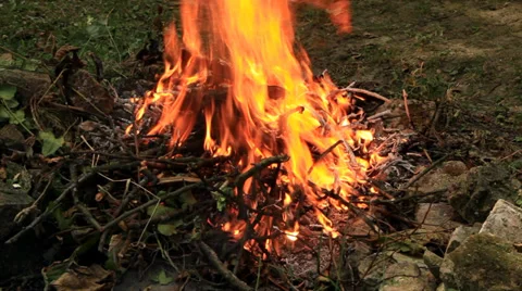 Open fire close up Stock Footage 35898543