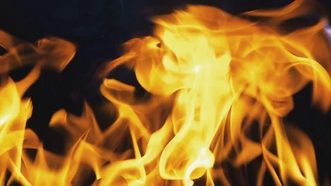 Open fire flame. Stock Footage 111136515