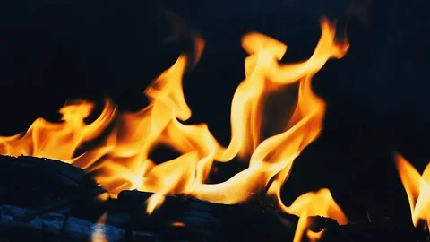 Open fire flame. Stock Footage 111136689