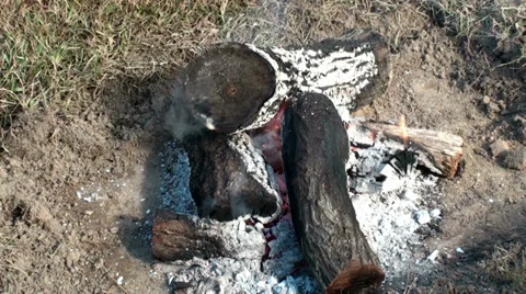 Open fire Stock Footage 32845677