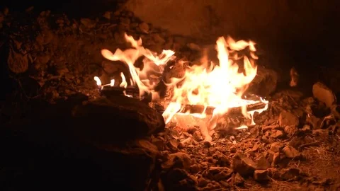 Open Fire Pit Flames in the Dark Stock Footage 77869345