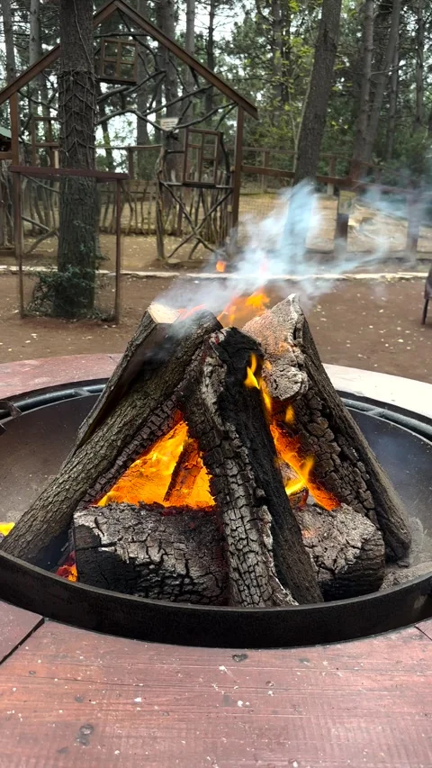 An open fireplace in the forest Stock Footage 293899197