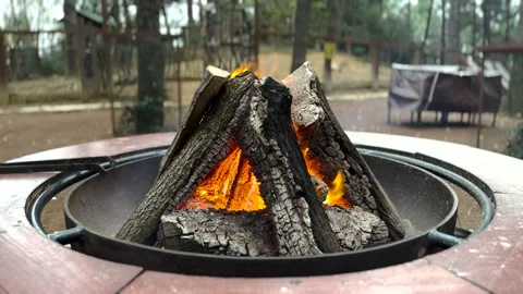An open fireplace in the forest Stock Footage 293899254