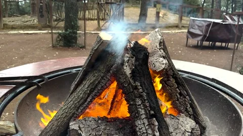 An open fireplace in the forest Stock Footage 293899437