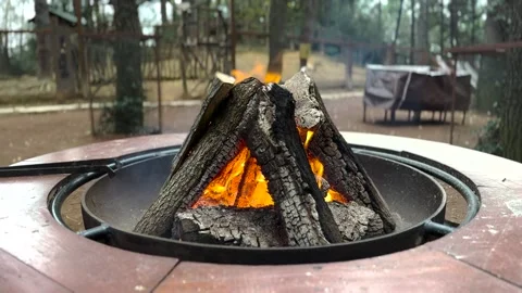 An open fireplace in the forest Stock Footage 293899466