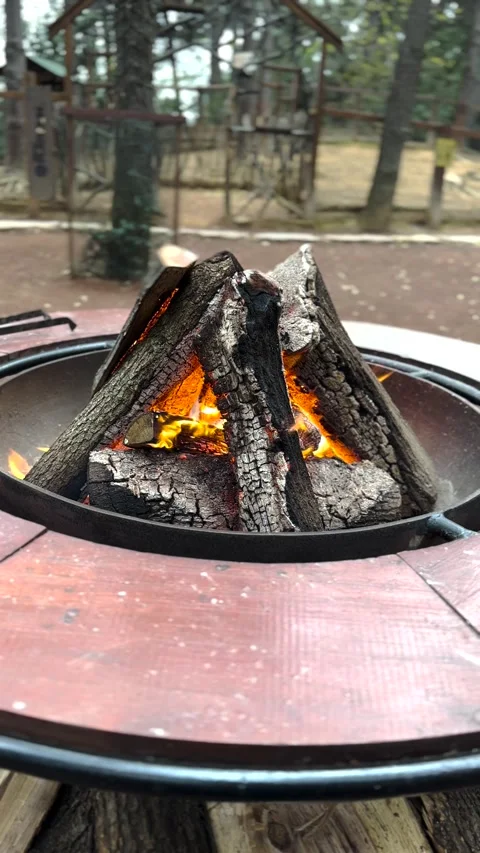 An open fireplace in the forest Stock Footage 293899700