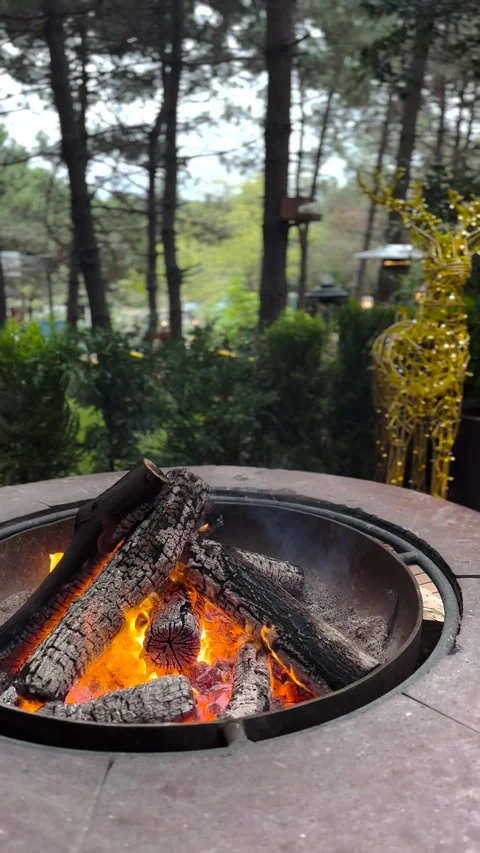 An open fireplace in the forest Stock Footage 293901326