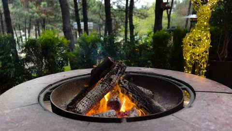 An open fireplace in the forest Stock Footage 293901338