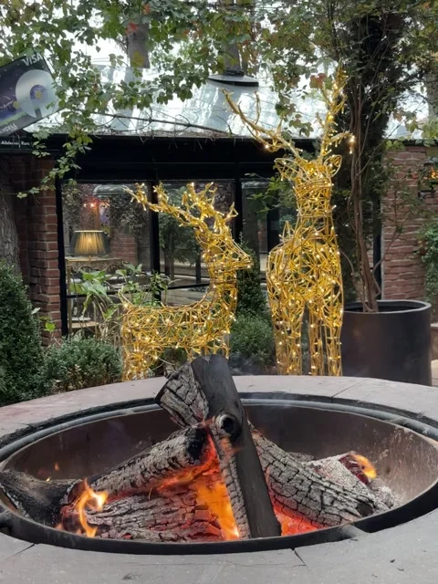 An open fireplace in the forest Stock Footage 293901518