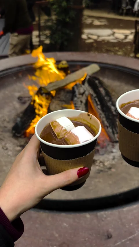 An open fireplace in the forest Stock Footage 293901660