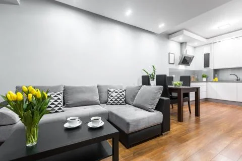 Open floor plan idea Stock Photos