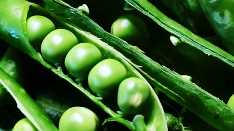 Open fresh peas close up Stock Footage 154900953