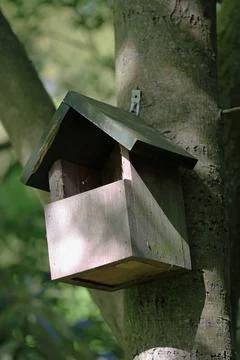 Open fronted bird nest box on tree trunk Stock Photos