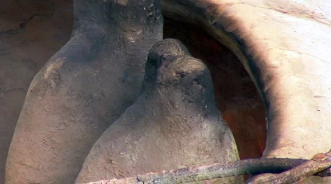 Open Furnace Video stock 5446256