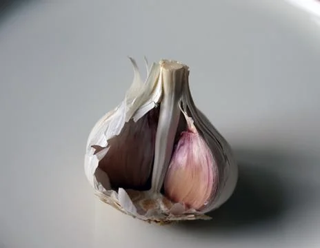 Open garlic on a white background 库存照片