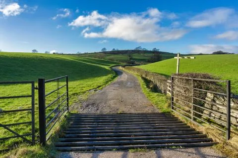 An open gate and a cattle grid leading to a country track Stock Photos