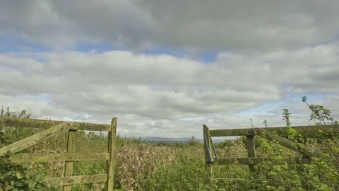 Open Gate Dartmoor Timelapse, 4K Stock Footage 136090449