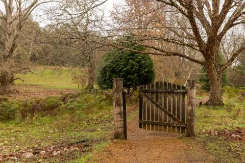 Open gate on path in winter Foto stock