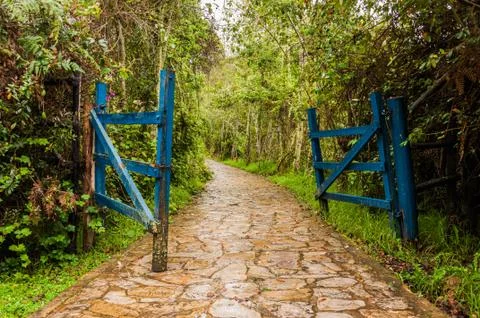 Open gate on the stone footpath in tropical forest Stock-Fotos