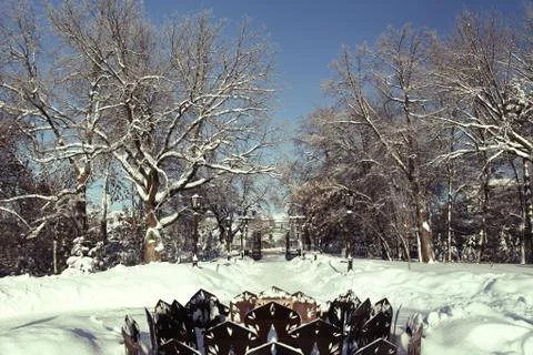 Open gate in the winter park with bare trees Stock Photos