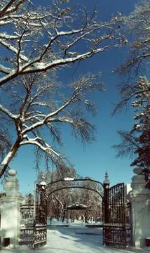 Open gate in the winter park with bare trees Stock Photos