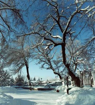 Open gate in the winter park with bare trees Stock Photos