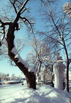 Open gate in the winter park with bare trees Stock Photos