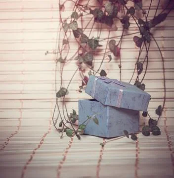 Open gift box Stock Photos