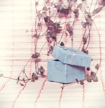 Open gift box Stock Photos