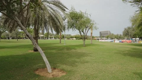 Open grass field in Umm Al Emarat Park, Abu Dhabi Stock Footage 331342970