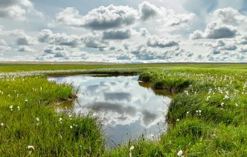 Open grassland and clouds with reflections in water. Iceland. Foto stock